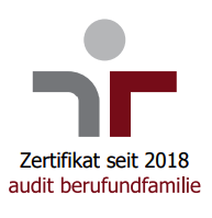 audit-beruffamilie